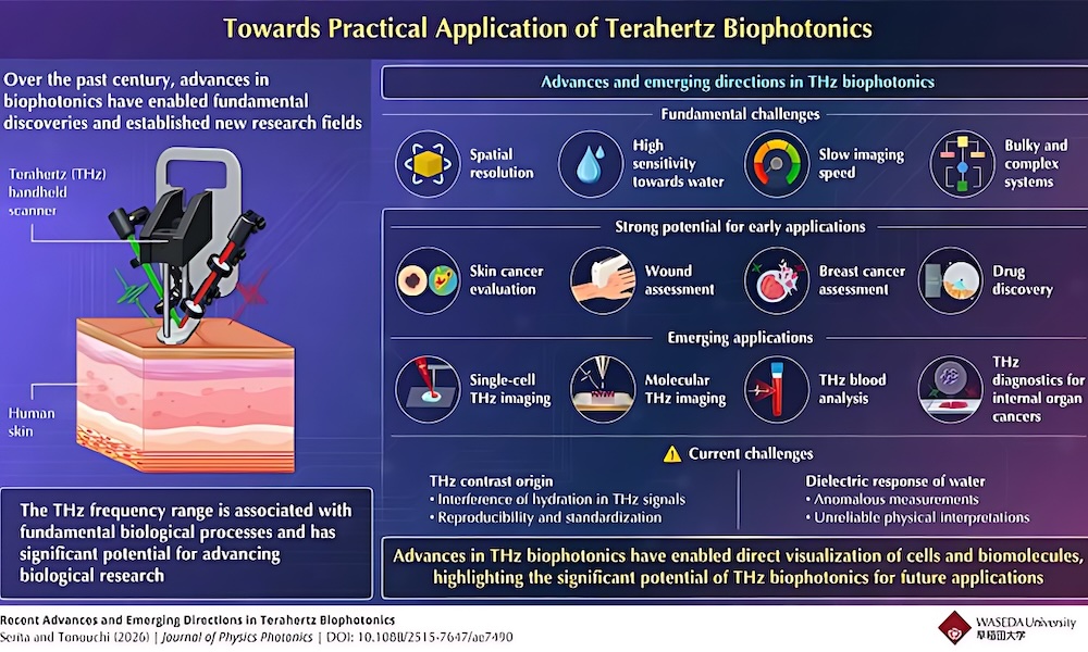 Waseda University surveys advances in terahertz biophotonics
