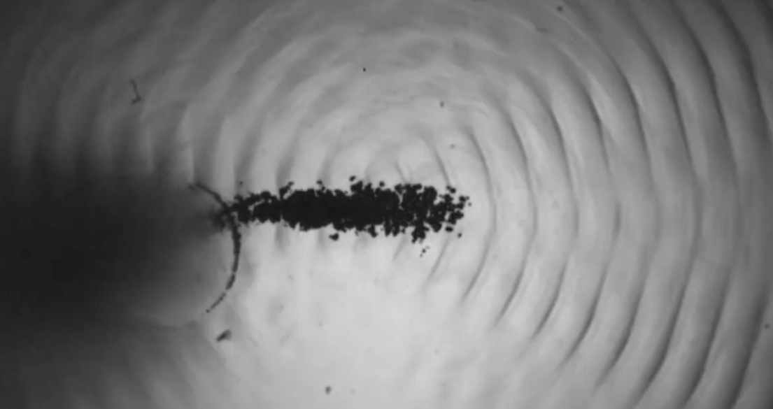 Cavitation experiment captured at 20 million frames per second