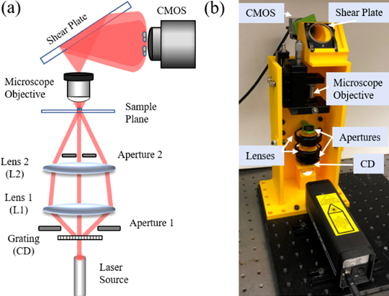 

Fig. 1. Proposed shearing-based SI-DHM system: (a) optical configuration and (b) 3D-printed experimental system. The grating and sample planes are conjugate planes through the L1-L2 lens system. Images: University of Connecticut / OSA.