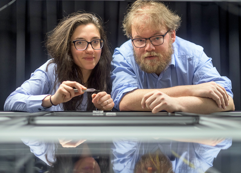 Quix founders Caterina Taballione (Twente) and Rubicon postdoc Jelmer Renema.