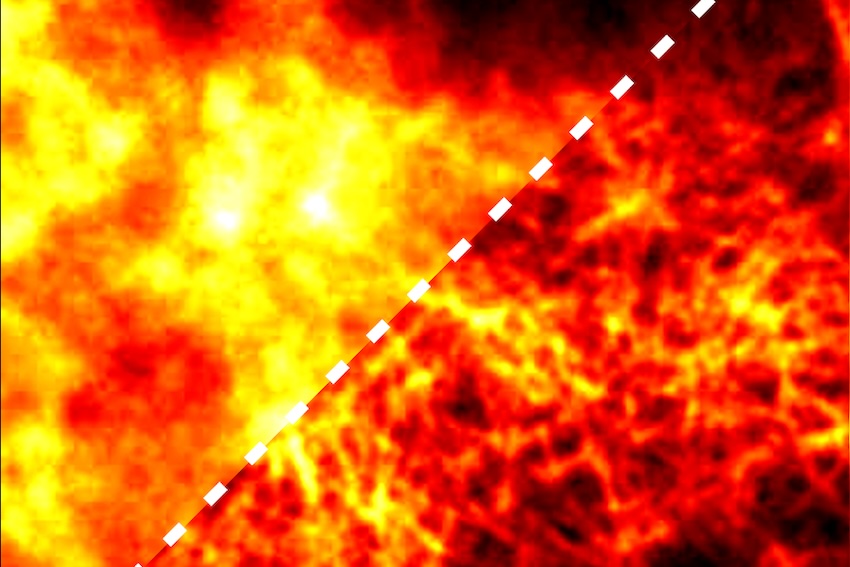 A fluorescence micrograph taken from the open BioSR super-resolution microscopy dataset. Credit: A. Yakimovich/CASUS.