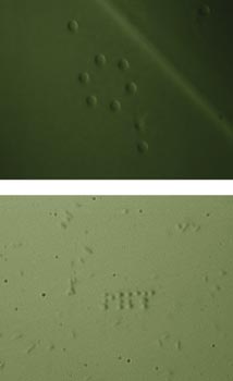 Time-sharing Time-sharing