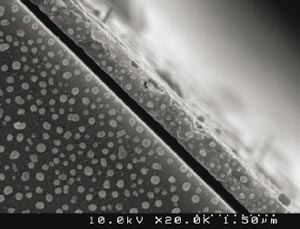 Silver nanoparticles