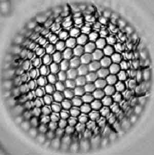 With wavefront coding