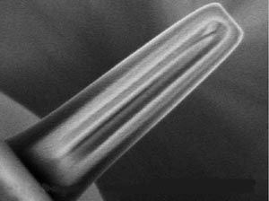 Optical microscope probe