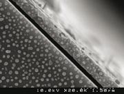 Silver nanoparticles