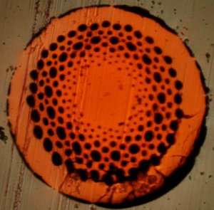 image of typical microstructured polymer optic fiber