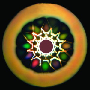 Optical fiber cross-section
