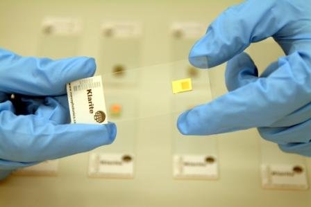 Klarite™ chip supplied by Mesophotonics, UK