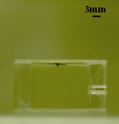 Delivery of tungsten particles