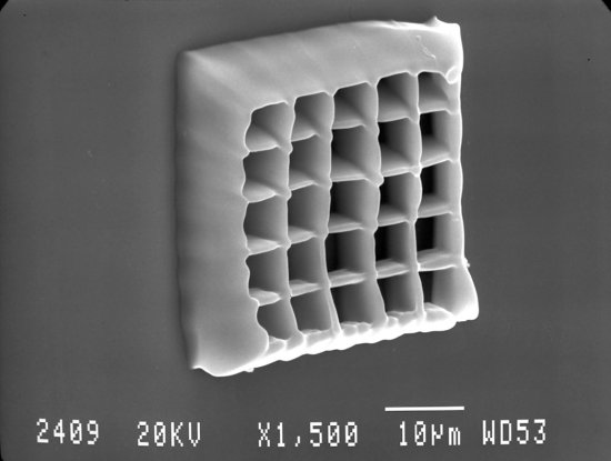 SEM of 3PP structure