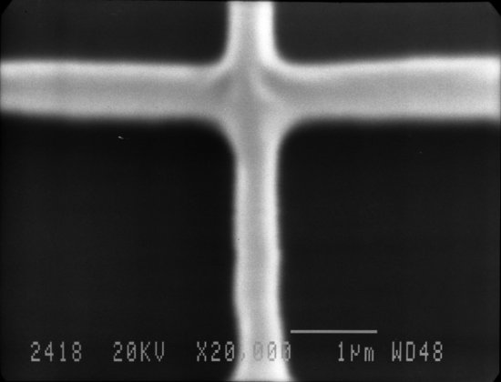 close up of the internal structure