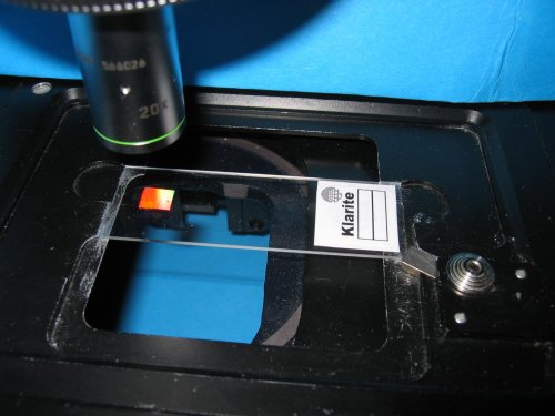 Enhanced Raman signals