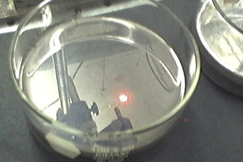 Thin layer of self-assembled colloidal particles