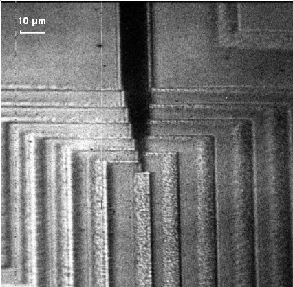 Test sample Polysilicon lines patterned on a silicon wafer