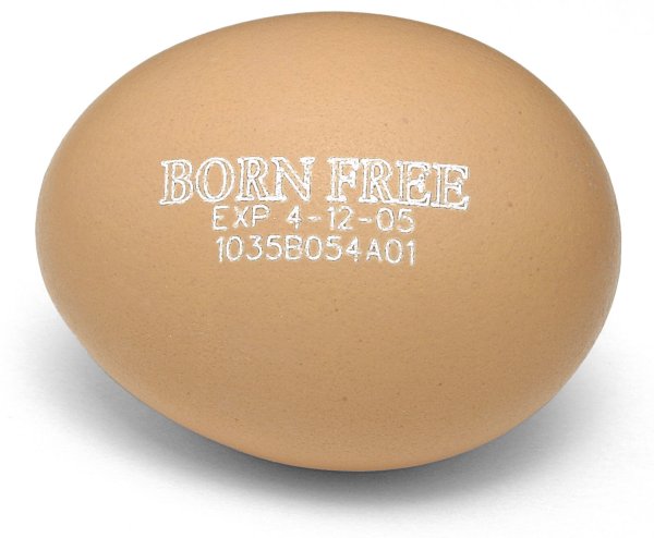 Laser-etched egg