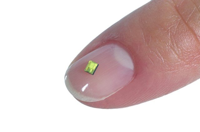 Portable PWT1 on finger for scale