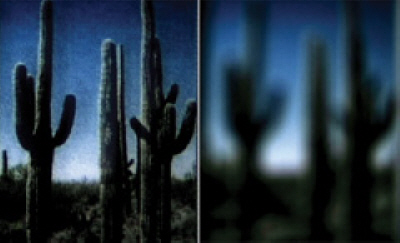 scene viewed through the glasses