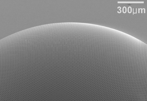 artificial eye close up