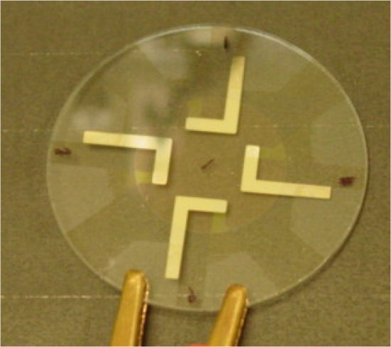 BioLEDs on wafer