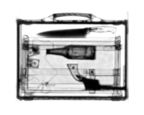 Terahertz image from Picometrix