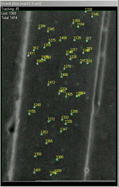 Fluid flow was analyzed using particle image velocimetry