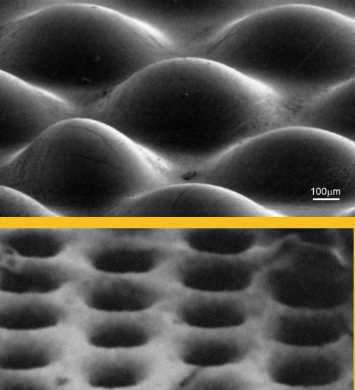 Micrographs of the new material