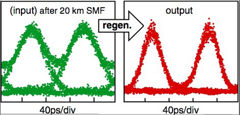 Regeneration results