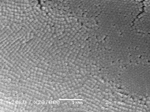 Polymer latex coating