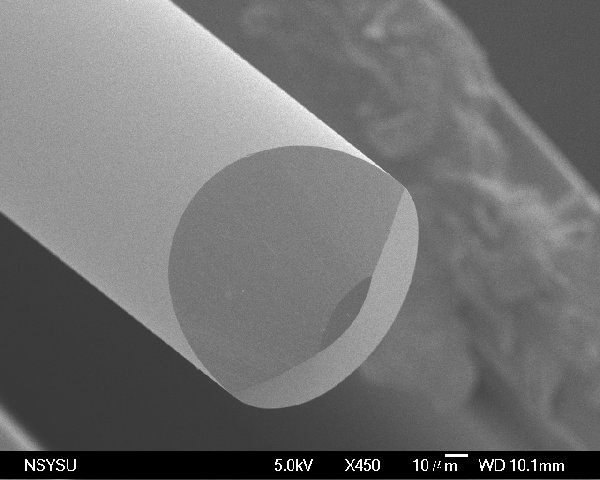 Fiber endface Fiber endface