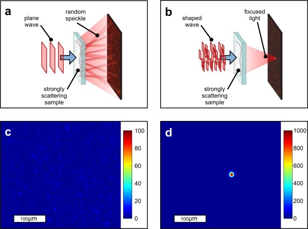 Opaque lens Opaque lens