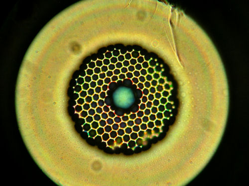 A hollow-core optical fiber that can be produced in a day instead of a week suffers no loss in quality according to UK researchers. University of Bath
