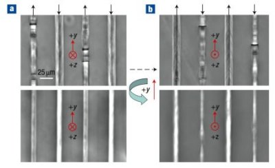 Mirrored structures Mirrored structures