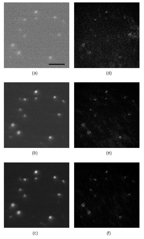 Ye Pu  Harmonic holography: a new holographic principle