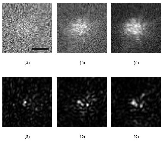 Magnified object Ye Pu Harmonic holography: a new holographic principle