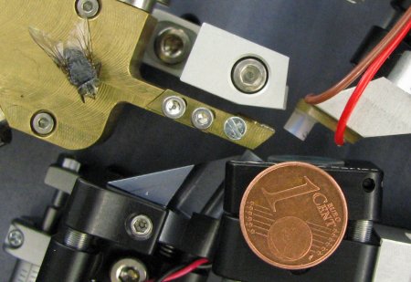 Laser resonator Laser resonator