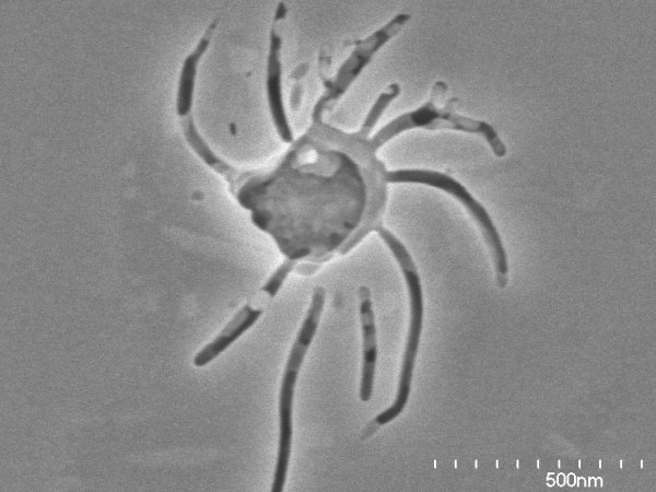 Chiral structure in fused silica