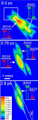 Mapping interactions ARC maps