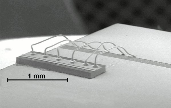 SEM of 3.1 micron QCL
