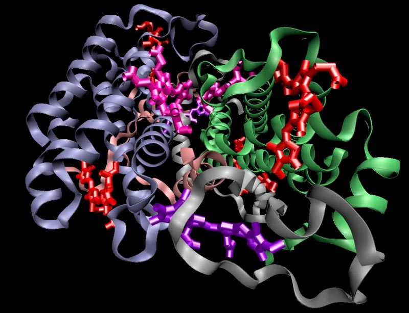 Algal proteins harvest light with efficiency