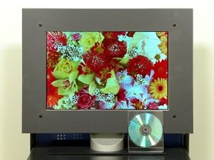 20-inch OLED