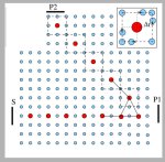 diagram of lattice and make-up of control cell