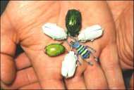 I Wanna Hold Your Hand...