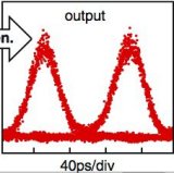 Regeneration results