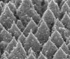 Nanospikes