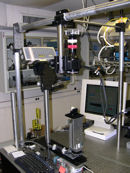 Illuminating the past