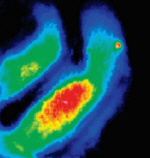 Near-infrared emission from nanotubes