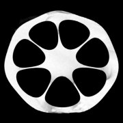 cross-section of final ZBLAN MOF