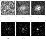 Ye Pu  Harmonic holography: a new holographic principle