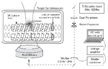 optical pacemaker